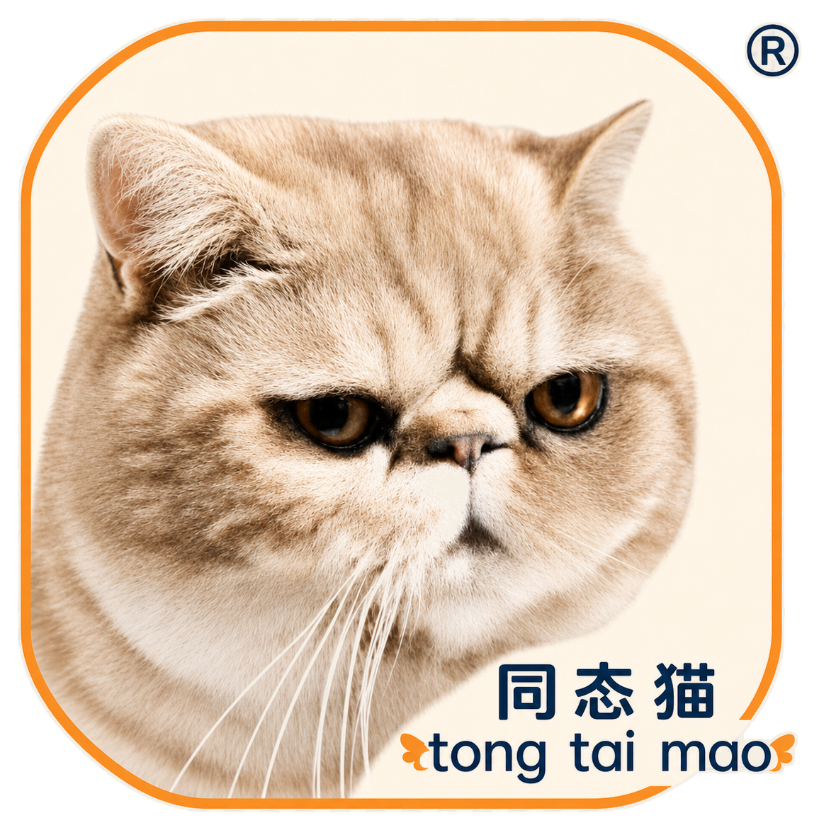 Tong Tai Mao registered trademark